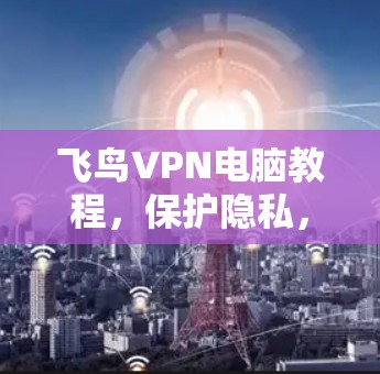 飞鸟VPN电脑教程，保护隐私，构建安全网络