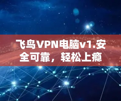 飞鸟VPN电脑v1.安全可靠，轻松上瘾！