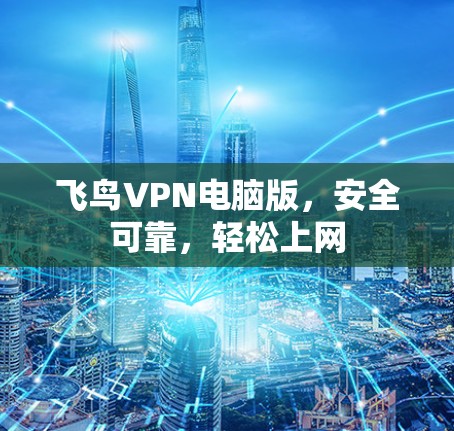 飞鸟VPN电脑版,安全可靠,轻松上网 飞鸟VPN电脑版,安全可靠,轻松上网