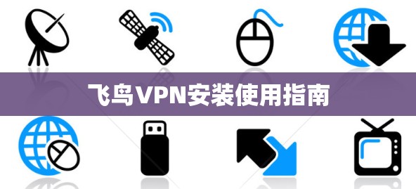 飞鸟VPN安装使用指南 飞鸟VPN安装使用指南