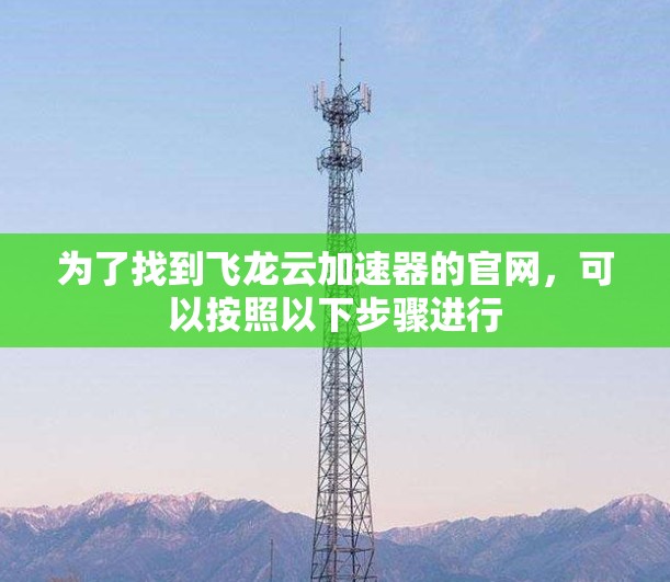 为了找到飞龙云加速器的官网，可以按照以下步骤进行
