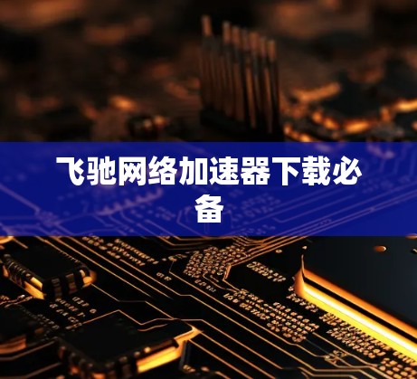 飞驰网络加速器下载必备 飞驰网络加速器下载必备
