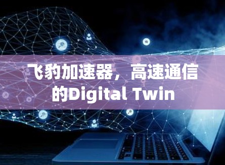 飞豹加速器，高速通信的Digital Twin
