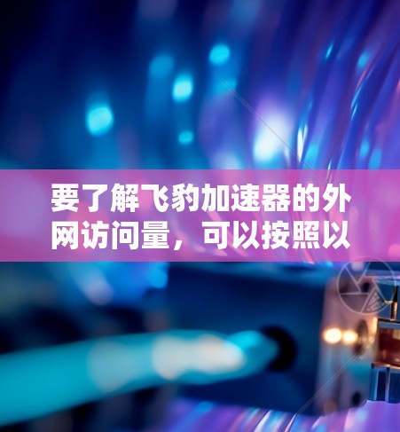 要了解飞豹加速器的外网访问量，可以按照以下步骤进行