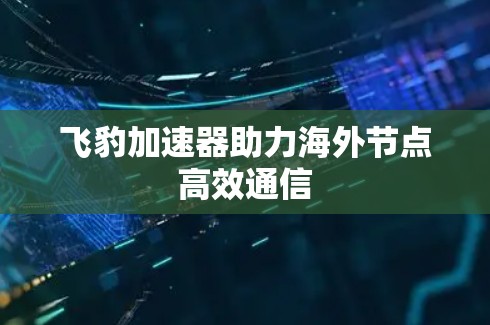 飞豹加速器助力海外节点高效通信