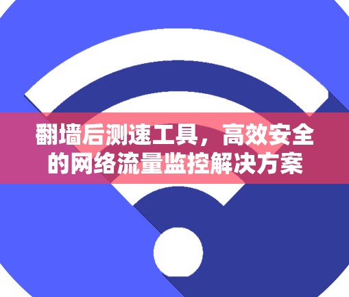 翻墙后测速工具，高效安全的网络流量监控解决方案