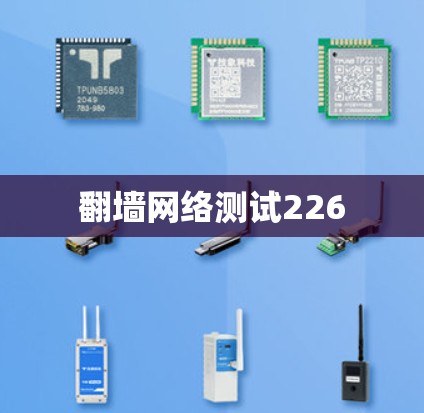 翻墙网络测试226