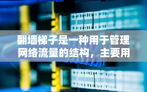 翻墙梯子是一种用于管理网络流量的结构,主要用于将外部网络的流量转换到目标服务器的内部网络。以下是对翻墙梯子的详细步骤和建议 翻墙梯子是一种用于管理网络流量的结构,主要用于将外部网络的流量转换到目标服务器的内部网络。以下是对翻墙梯子的详细步骤和建议