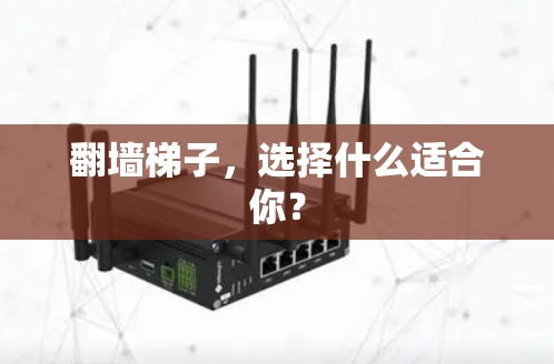 翻墙梯子，选择什么适合你？