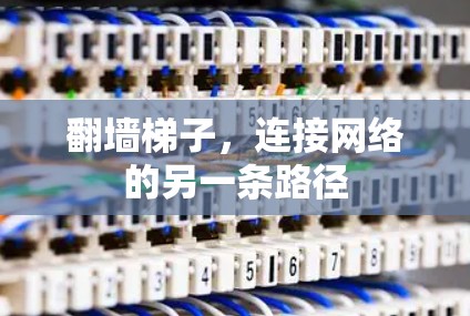 翻墙梯子，连接网络的另一条路径