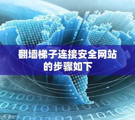 翻墙梯子连接安全网站的步骤如下