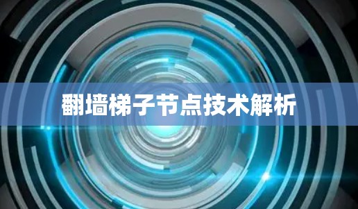 翻墙梯子节点技术解析