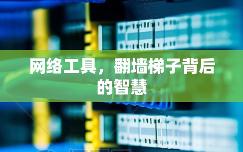 网络工具，翻墙梯子背后的智慧