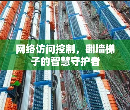 网络访问控制，翻墙梯子的智慧守护者