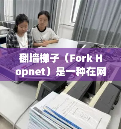 翻墙梯子（Fork Hopnet）是一种在网络安全中用于绕过防火墙的技术，其核心原理是利用网络设备（如路由器、交换机等）来实现数据流量的绕过。低延迟测试通常是指对这种技术在不同延迟条件下的性能评估