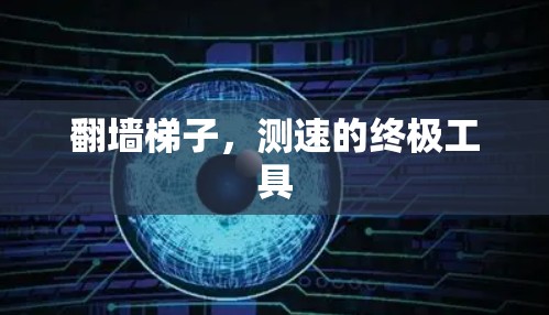翻墙梯子，测速的终极工具