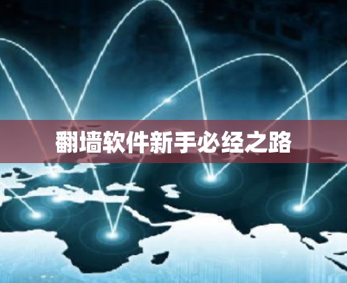 翻墙软件新手必经之路