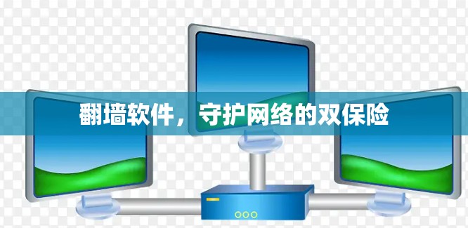 翻墙软件，守护网络的双保险