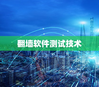 翻墙软件测试技术