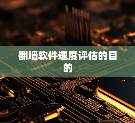 翻墙软件速度评估的目的