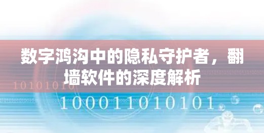数字鸿沟中的隐私守护者，翻墙软件的深度解析