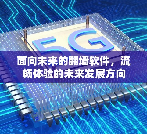 面向未来的翻墙软件,流畅体验的未来发展方向